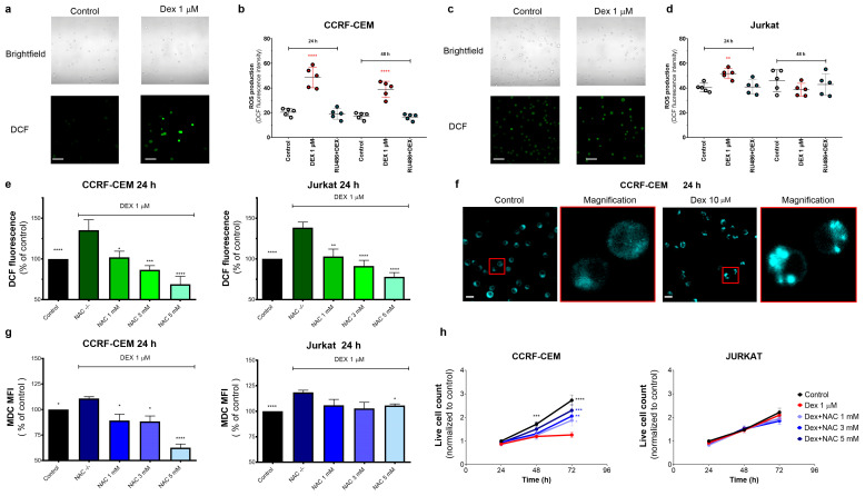 PMC9856638 – cancers-15-00445-f004