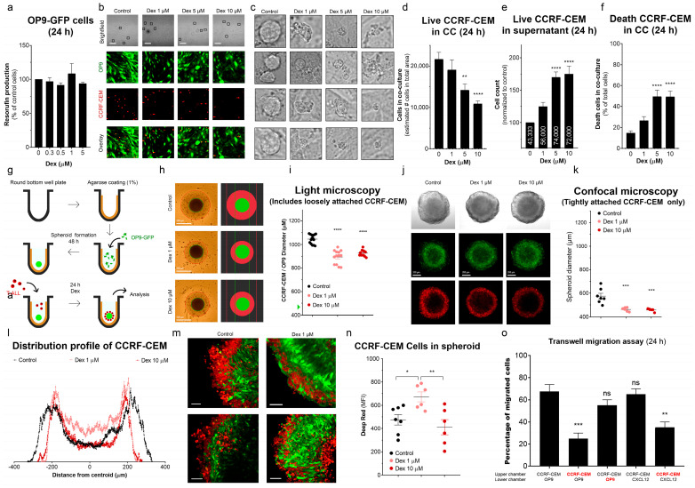 PMC9856638 – cancers-15-00445-f006