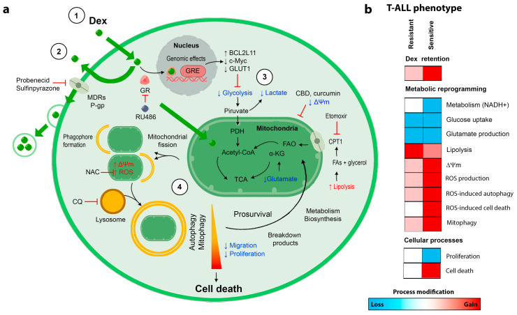 PMC9856638 – cancers-15-00445-f007