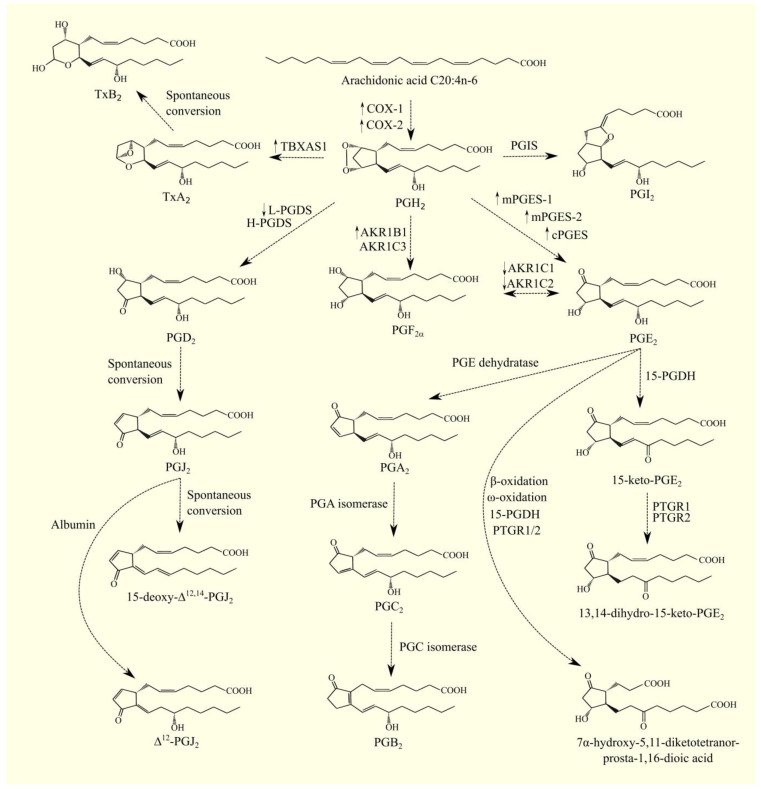 PMC9913267 – cancers-15-00946-f003