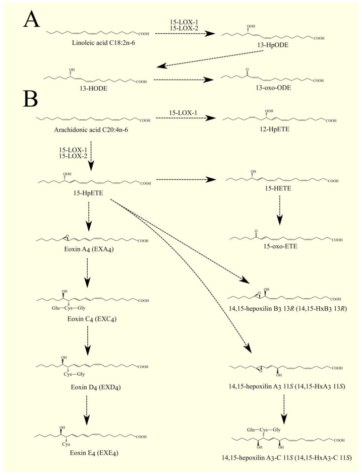 PMC9913267 – cancers-15-00946-f006