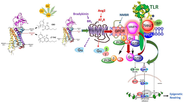 PMC9954791 – cancers-15-01030-f001