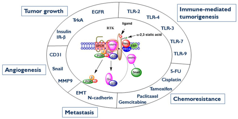PMC9954791 – cancers-15-01030-f003