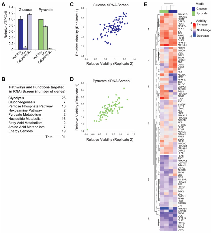PMC9953999 – cancers-15-01158-f001