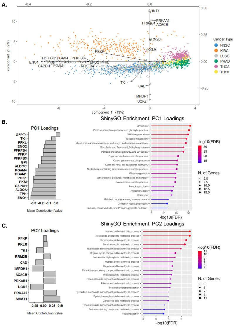 PMC9953999 – cancers-15-01158-f003