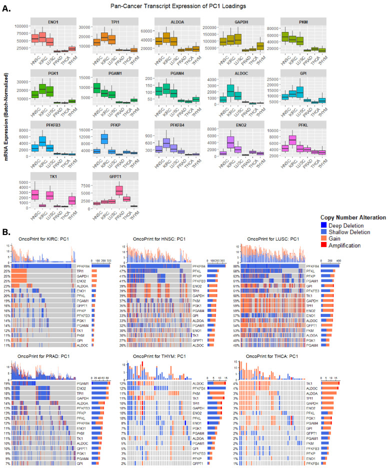 PMC9953999 – cancers-15-01158-f004