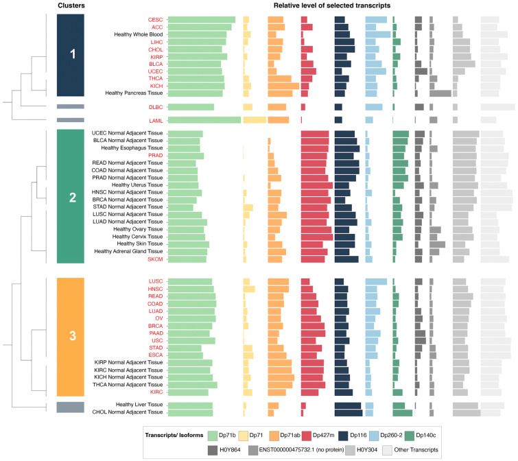 PMC10000051 – cancers-15-01378-f002