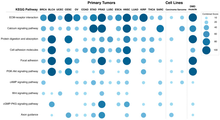 PMC10000051 – cancers-15-01378-f006
