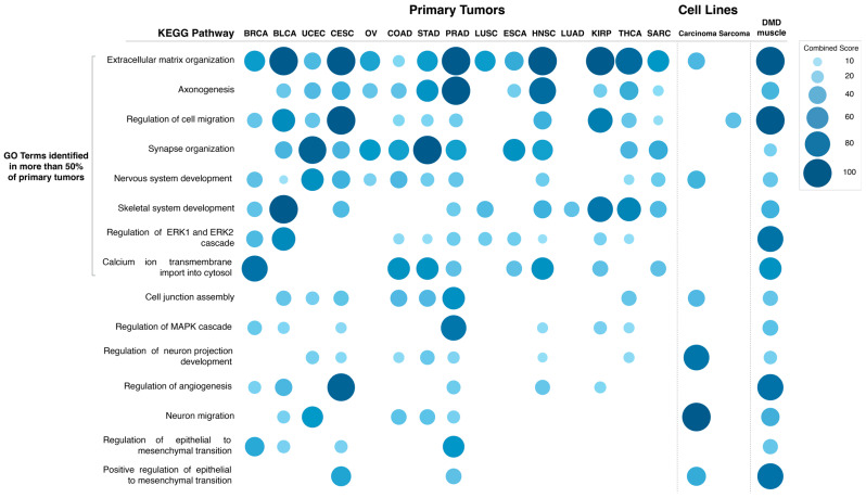 PMC10000051 – cancers-15-01378-f007