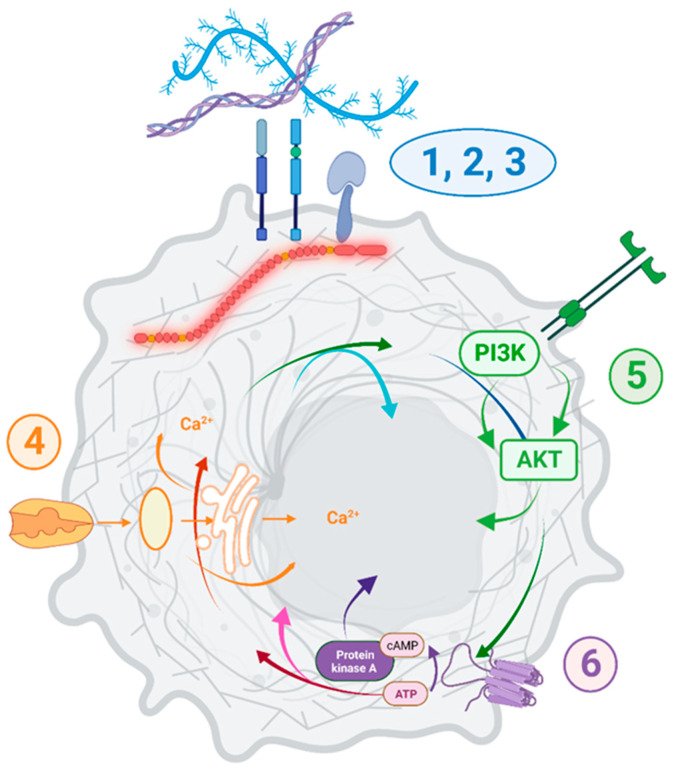 PMC10000051 – cancers-15-01378-f009