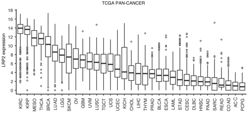 PMC10046670 – cancers-15-01830-f001
