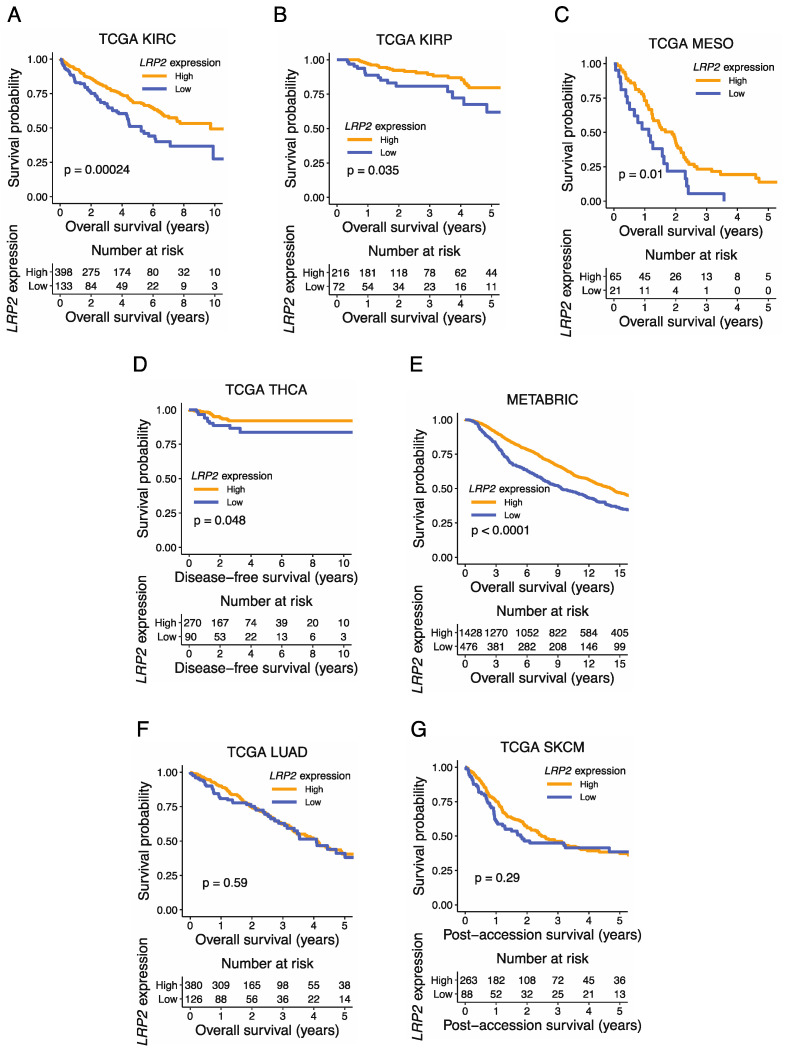 PMC10046670 – cancers-15-01830-f005