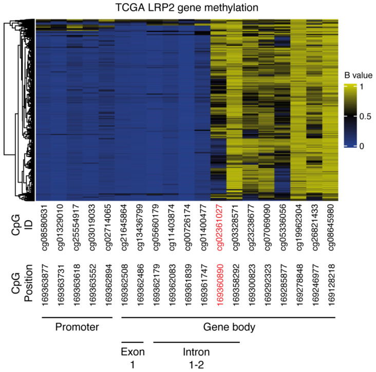 PMC10046670 – cancers-15-01830-f006
