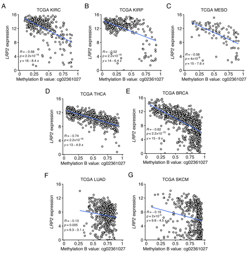 PMC10046670 – cancers-15-01830-f007
