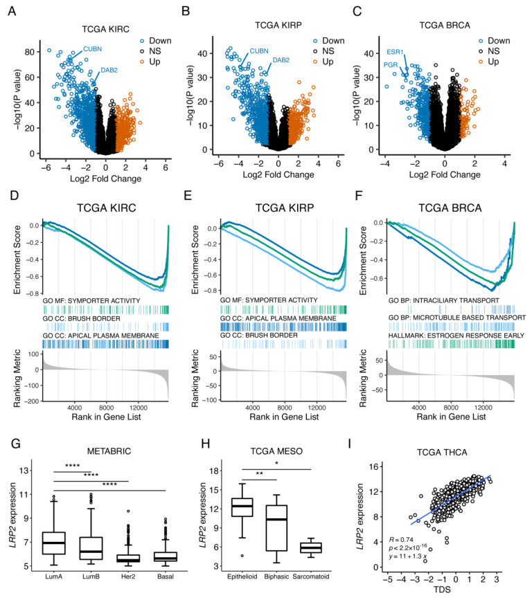 PMC10046670 – cancers-15-01830-f008