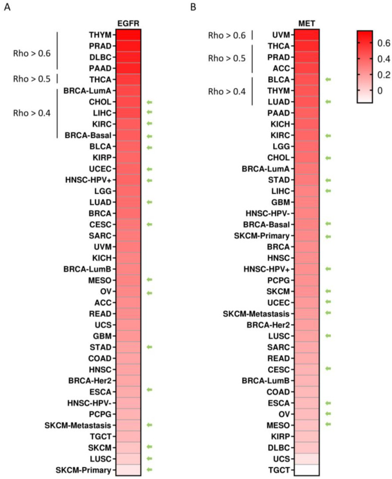 PMC10297015 – cancers-15-03250-f003