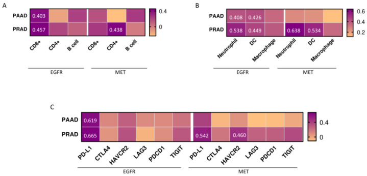 PMC10297015 – cancers-15-03250-f006