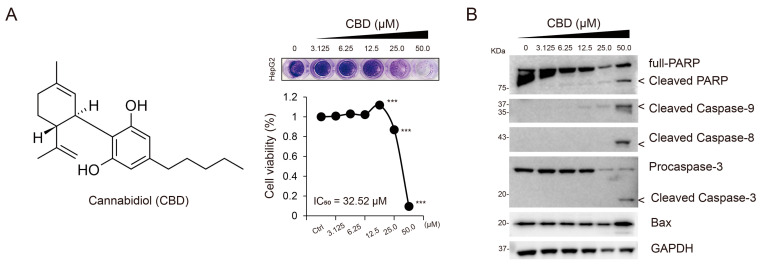 PMC10417827 – cancers-15-03987-f001
