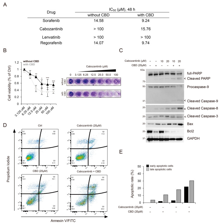 PMC10417827 – cancers-15-03987-f002