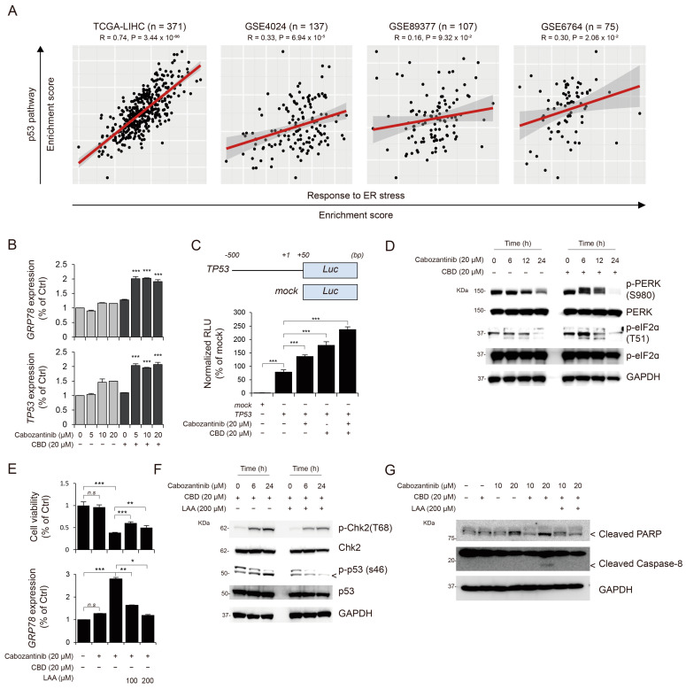 PMC10417827 – cancers-15-03987-f004