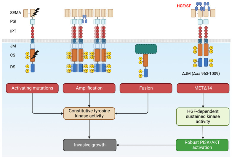 PMC10526818 – cancers-15-04672-f004