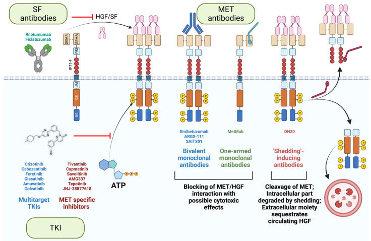 PMC10526818 – cancers-15-04672-f005