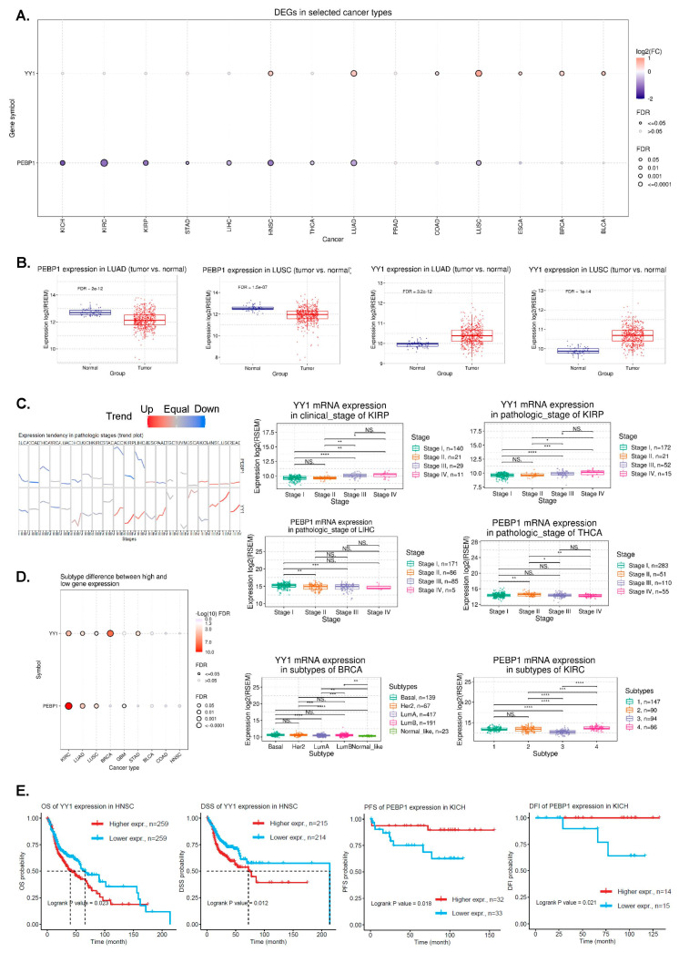 PMC10605344 – cancers-15-04932-f001