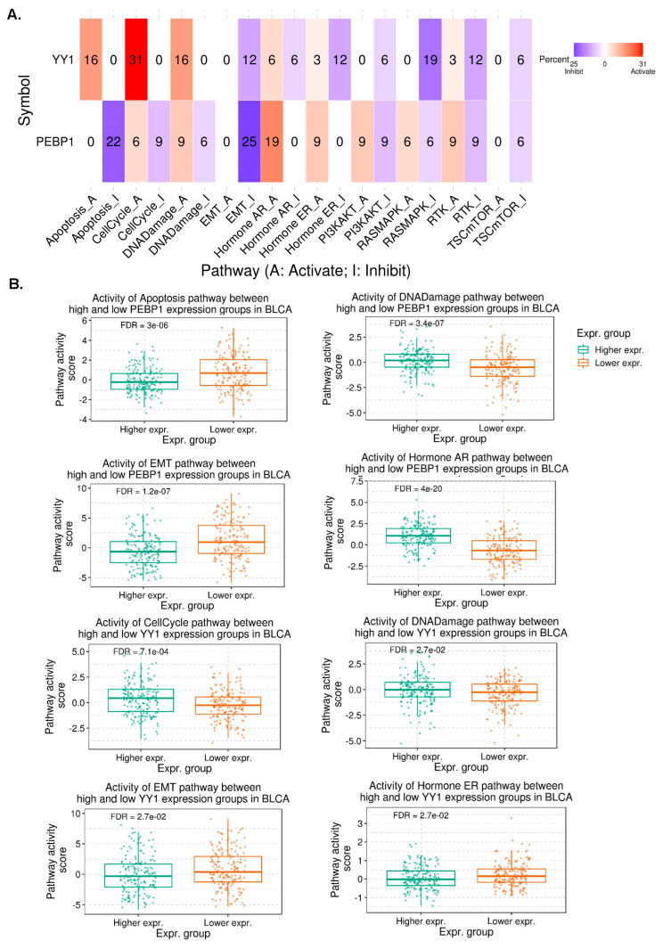 PMC10605344 – cancers-15-04932-f002