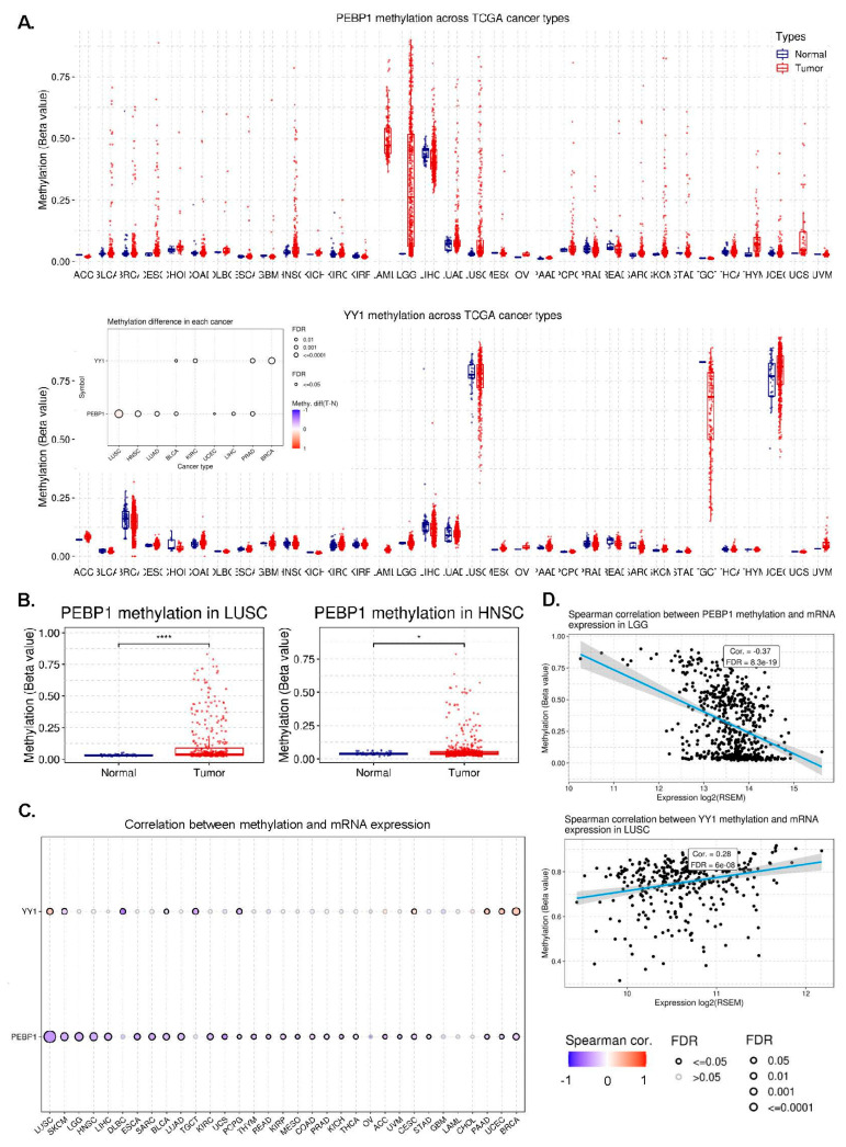 PMC10605344 – cancers-15-04932-f004