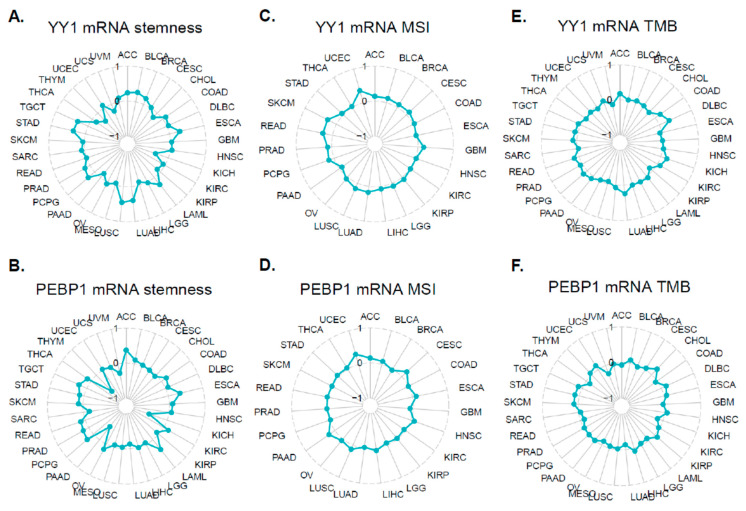 PMC10605344 – cancers-15-04932-f007