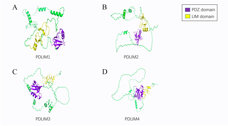 PMC10605254 – cancers-15-05042-f001