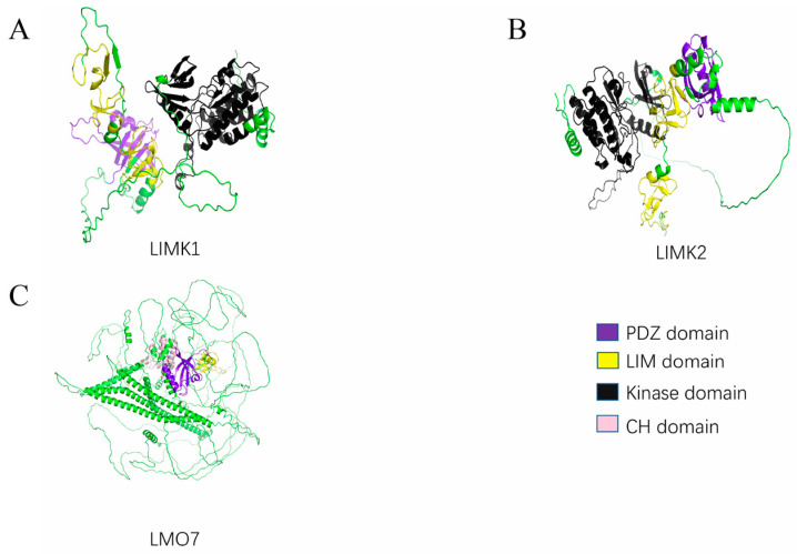 PMC10605254 – cancers-15-05042-f003