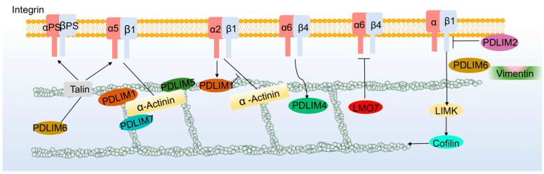 PMC10605254 – cancers-15-05042-f004