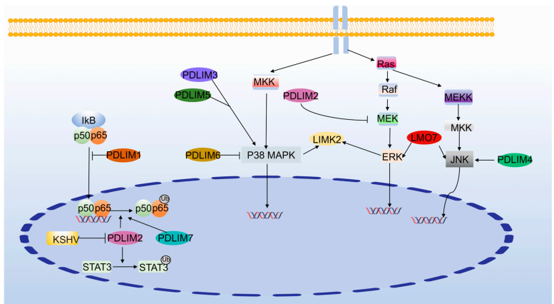 PMC10605254 – cancers-15-05042-f006
