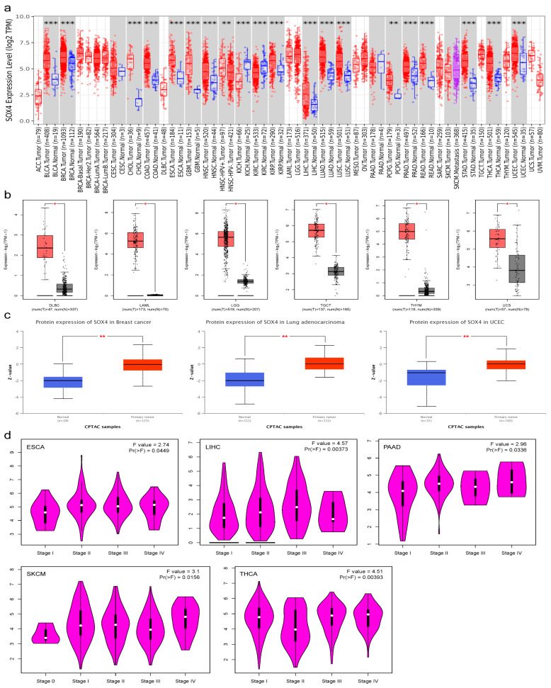 PMC10649301 – cancers-15-05235-f001