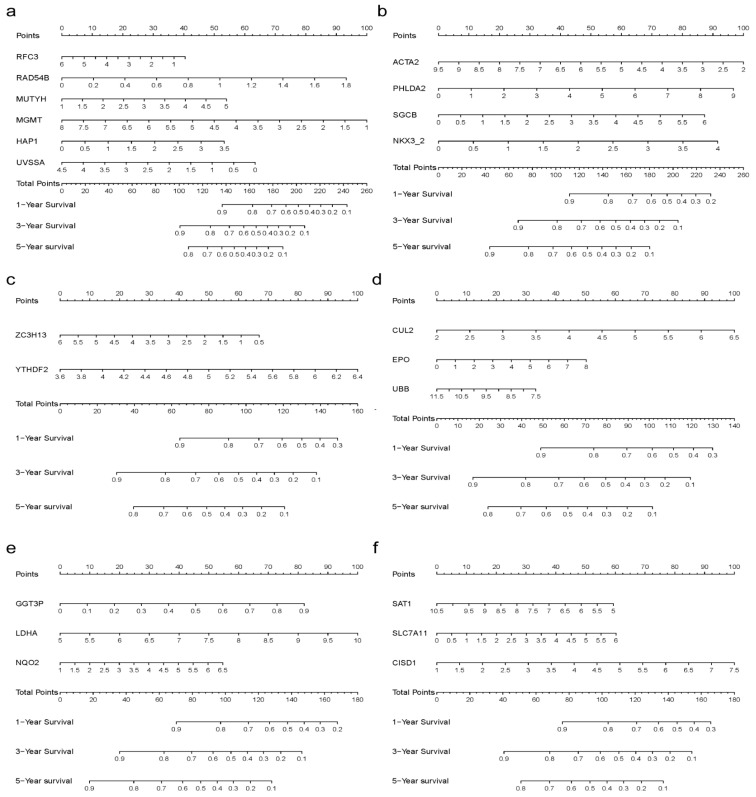 PMC10649301 – cancers-15-05235-f006