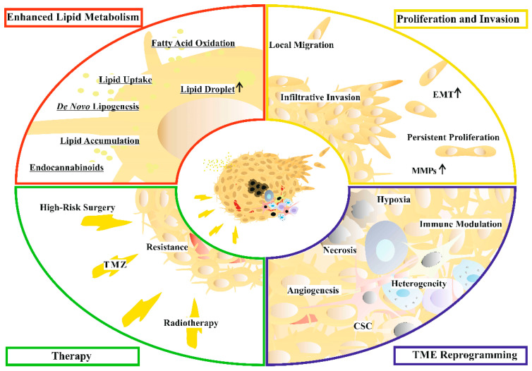 PMC10814456 – cancers-16-00397-f001