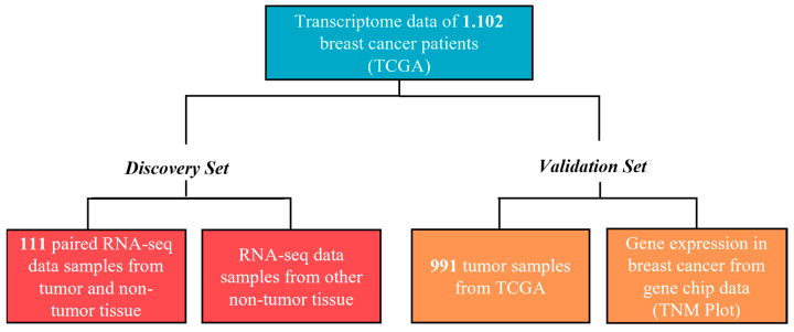PMC11011122 – cancers-16-01402-f001
