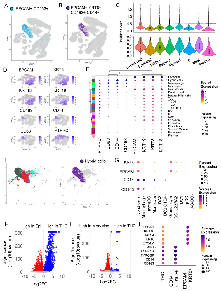 PMC11010995 – cancers-16-01444-f001