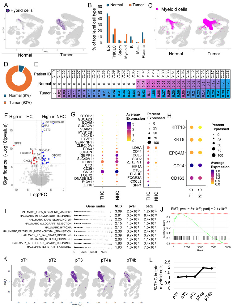 PMC11010995 – cancers-16-01444-f002