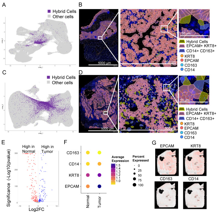 PMC11010995 – cancers-16-01444-f003
