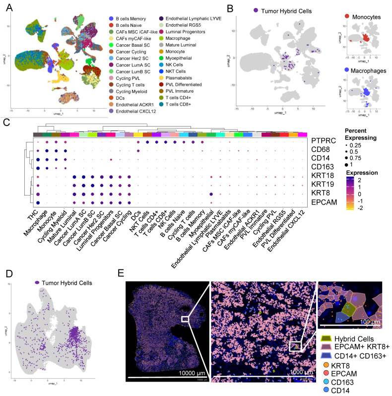PMC11010995 – cancers-16-01444-f004