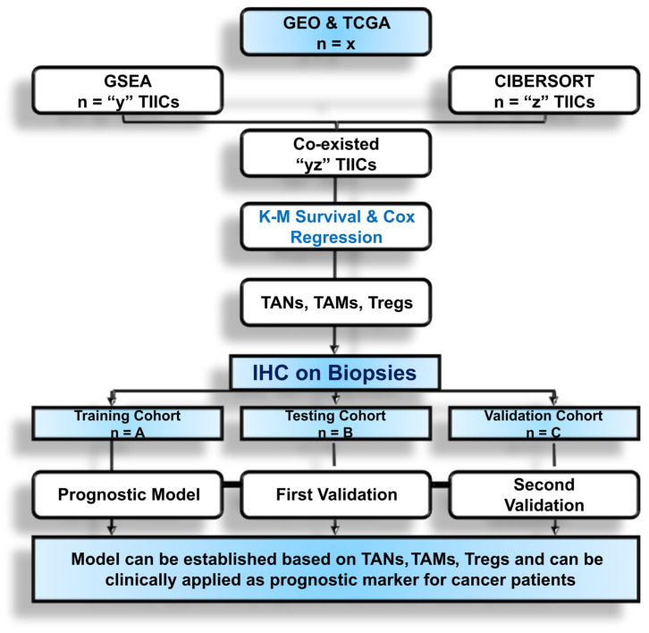 PMC11082991 – cancers-16-01626-f001