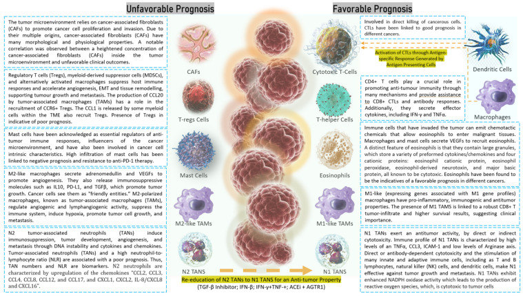 PMC11082991 – cancers-16-01626-f005