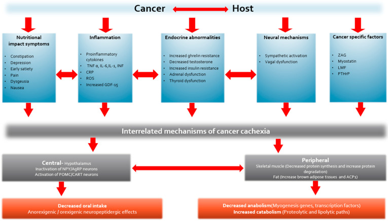 PMC11083841 – cancers-16-01696-f003