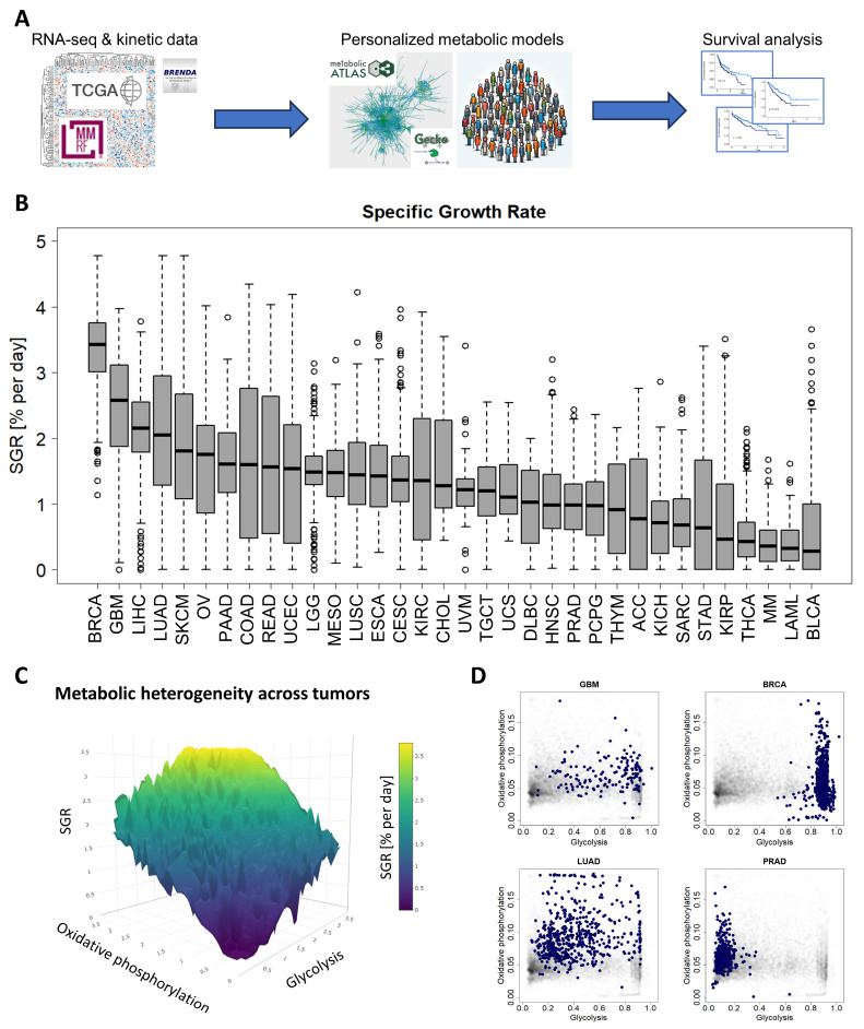 PMC11240338 – cancers-16-02302-f001