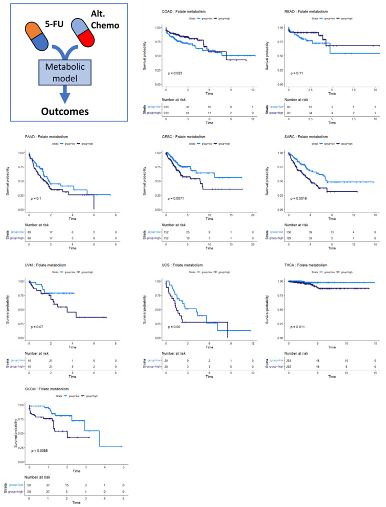 PMC11240338 – cancers-16-02302-f005