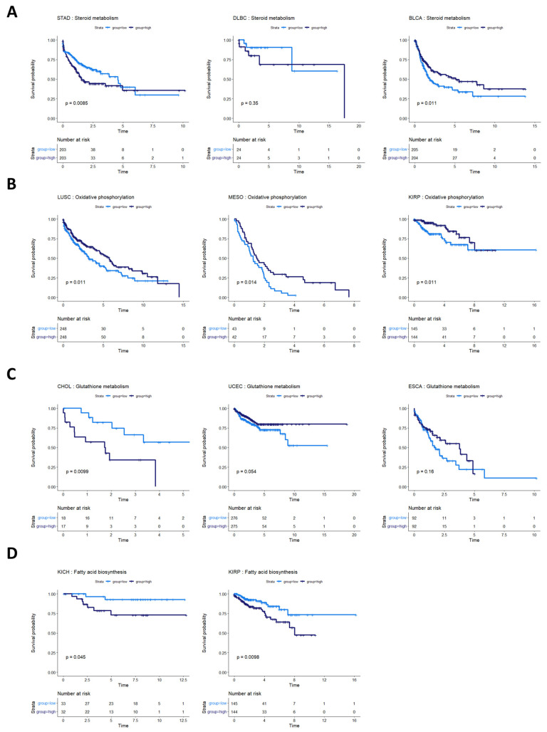PMC11240338 – cancers-16-02302-f006