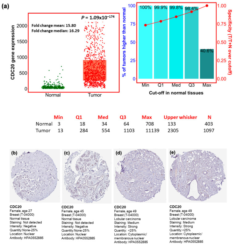 PMC11274456 – cancers-16-02546-f002