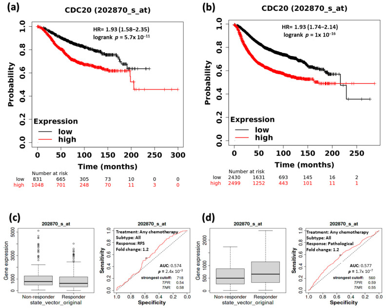 PMC11274456 – cancers-16-02546-f005